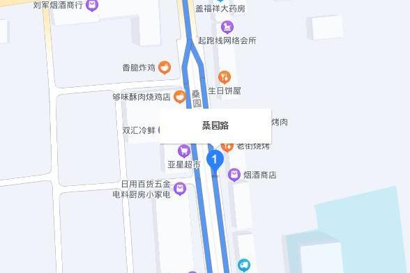 桑園路(安徽省亳州市道路) 桑園路(安徽省亳州市道路)