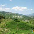 湖嶺村(福建省泉州市德化縣赤水鎮下轄村) 湖嶺村(福建省泉州市德化縣赤水鎮下轄村)