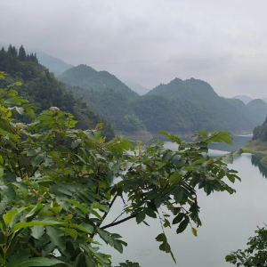 雙河水庫