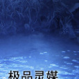 極品靈媒(陶陶貓創作的玄幻小說) 極品靈媒(陶陶貓創作的玄幻小說)