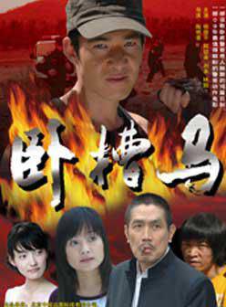 阿幼朵(中央民族歌舞團演員) 阿幼朵(中央民族歌舞團演員)
