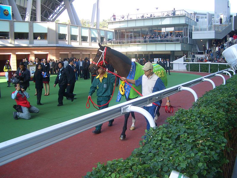 2009年1月1日在沙田馬場牛精福星歡送儀式。