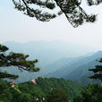 萬佛山風景區(舒城萬佛山) 萬佛山風景區(舒城萬佛山)