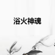 浴火神魂 浴火神魂