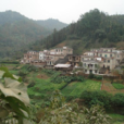 平安村(雲南省文山州富寧縣者桑鄉平安村)