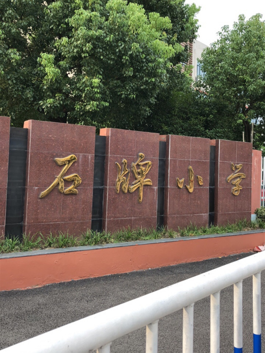 石碑國小(江蘇省徐州市睢寧縣姚集鎮石碑國小) 石碑國小(江蘇省徐州市睢寧縣姚集鎮石碑國小)