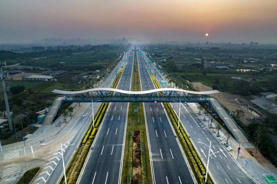 中陽大道 中陽大道