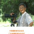 張之先 張之先