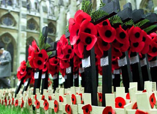 陣亡將士紀念日(Remembrance Day) 陣亡將士紀念日(Remembrance Day)