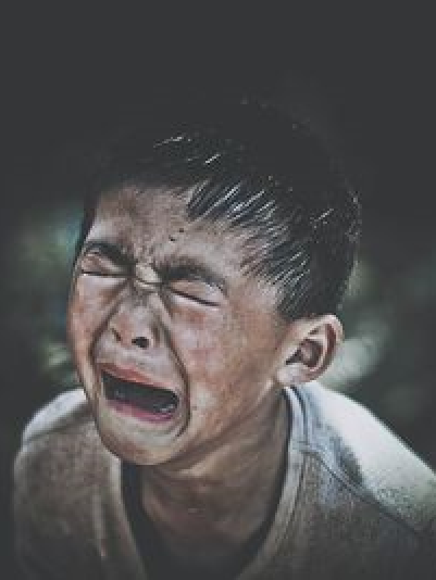 重婚醉 重婚醉