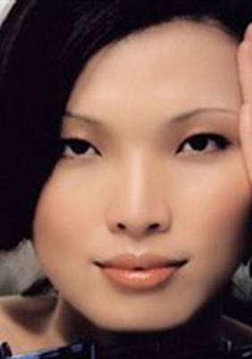 法國間諜