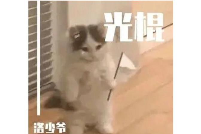 光棍(洛少爺演唱的歌曲) 光棍(洛少爺演唱的歌曲)