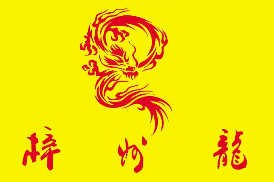 梓州龍戰旗