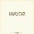 仙武煉巔 仙武煉巔