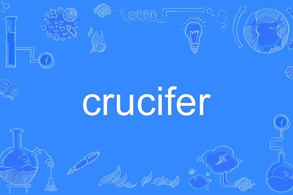 crucifer crucifer