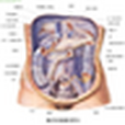 Humanbodystructurediagram2 Humanbodystructurediagram2
