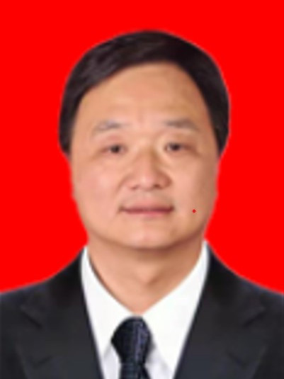閆軍峰(山西省運城市鹽湖區能源局副局長) 閆軍峰(山西省運城市鹽湖區能源局副局長)