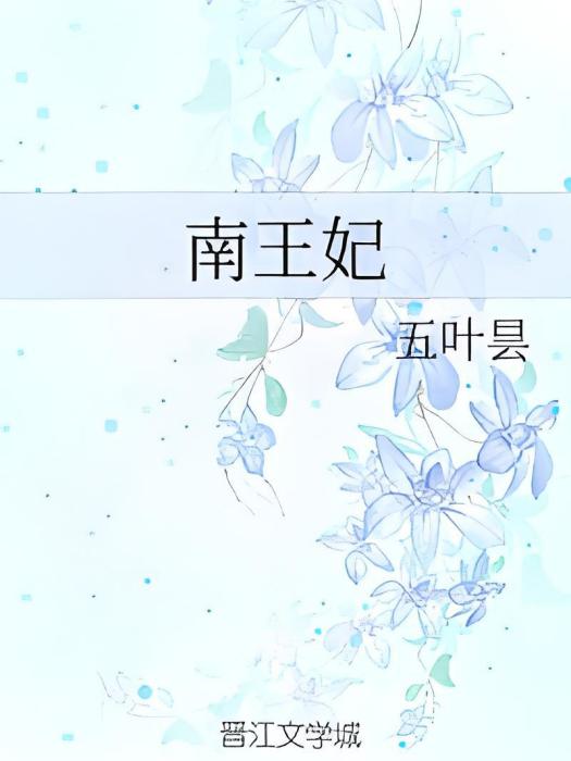 南王妃 南王妃
