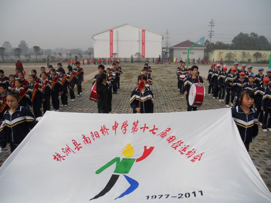 株洲市淥口區南洲鎮中心學校(南陽橋中學)