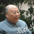 龍振華 龍振華