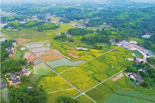 桂花村(瀘州市瀘縣雲錦鎮下轄村) 桂花村(瀘州市瀘縣雲錦鎮下轄村)