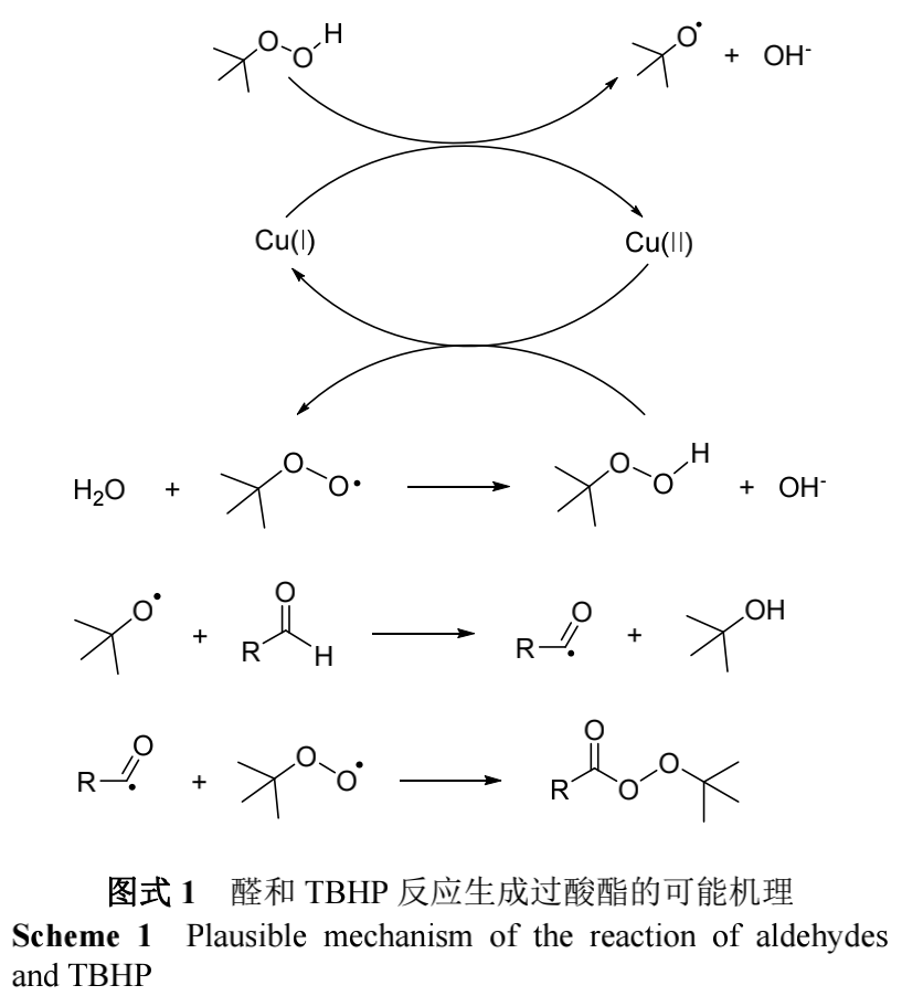 醛和TBHP生成過酸酯的可能機理