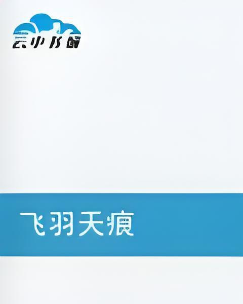 飛羽天痕 飛羽天痕