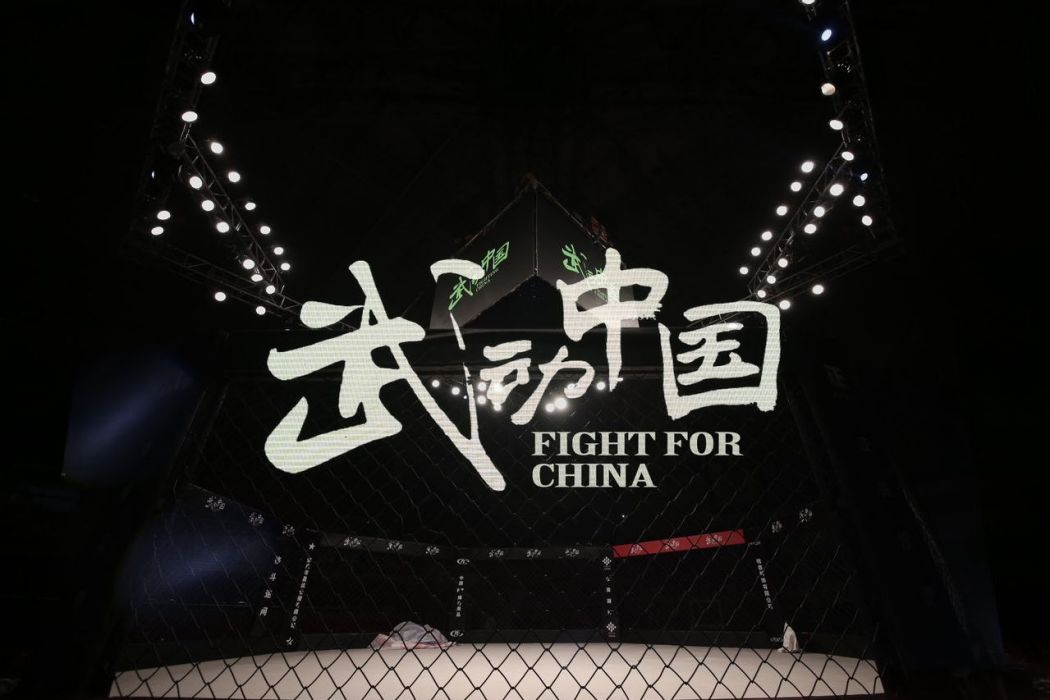 武動中國 武動中國
