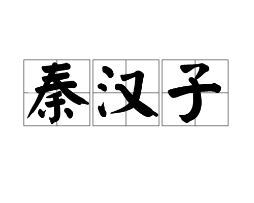 秦漢子