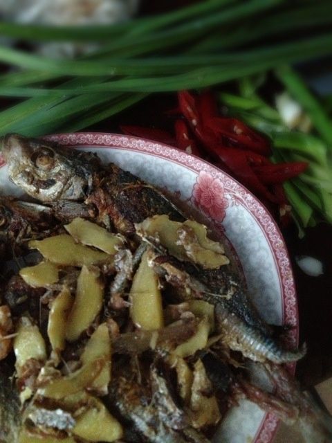 糖酒巴浪魚 糖酒巴浪魚