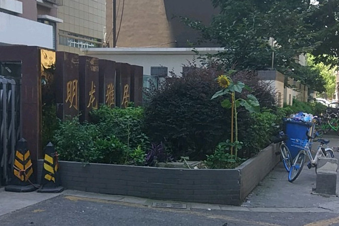 明龍雅居 明龍雅居