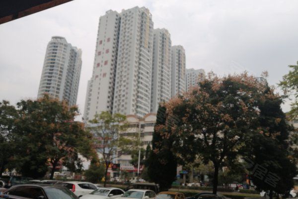 東華新村 東華新村