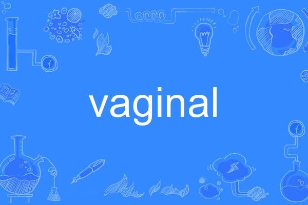 vaginal vaginal