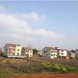武莊村(河南省許昌市鄢陵縣陳化店鎮下轄村) 武莊村(河南省許昌市鄢陵縣陳化店鎮下轄村)