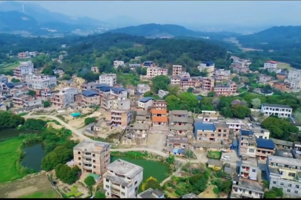 大寺屯良 大寺屯良