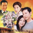 偶然(2004年王亞楠主演電視劇) 偶然(2004年王亞楠主演電視劇)