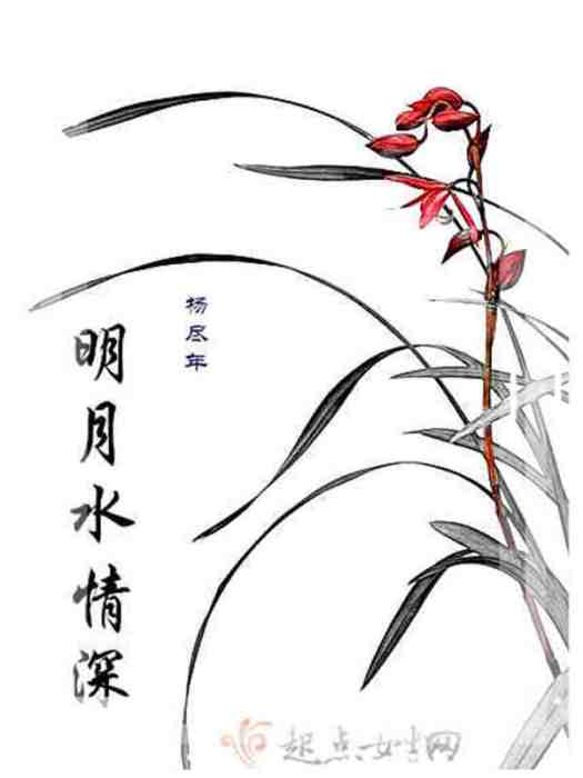 明月水情深 明月水情深