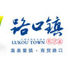 路口鎮(湖南省長沙縣路口鎮)