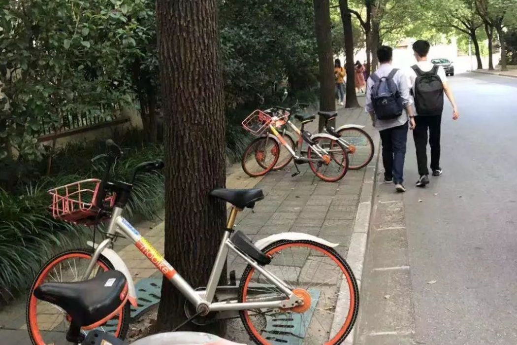 國達路 國達路