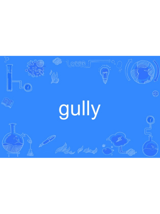 gully gully