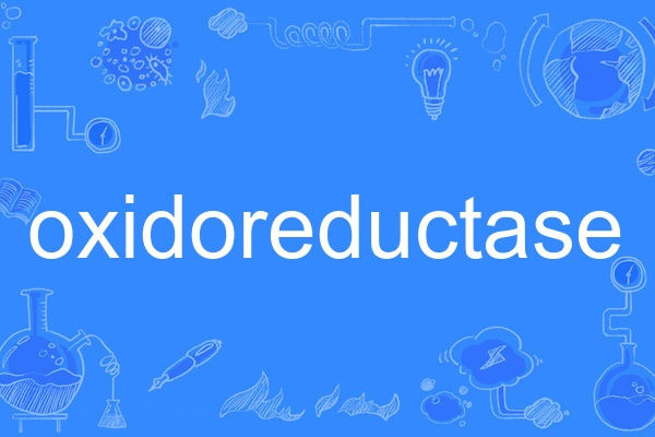 oxidoreductase oxidoreductase