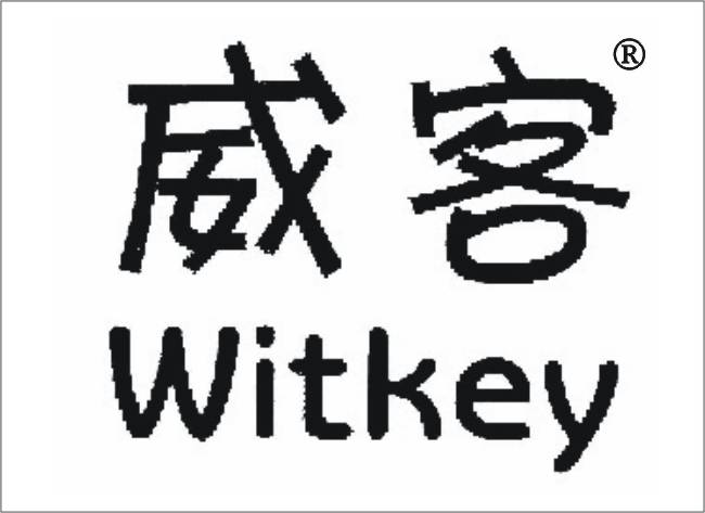 威客(witkey)