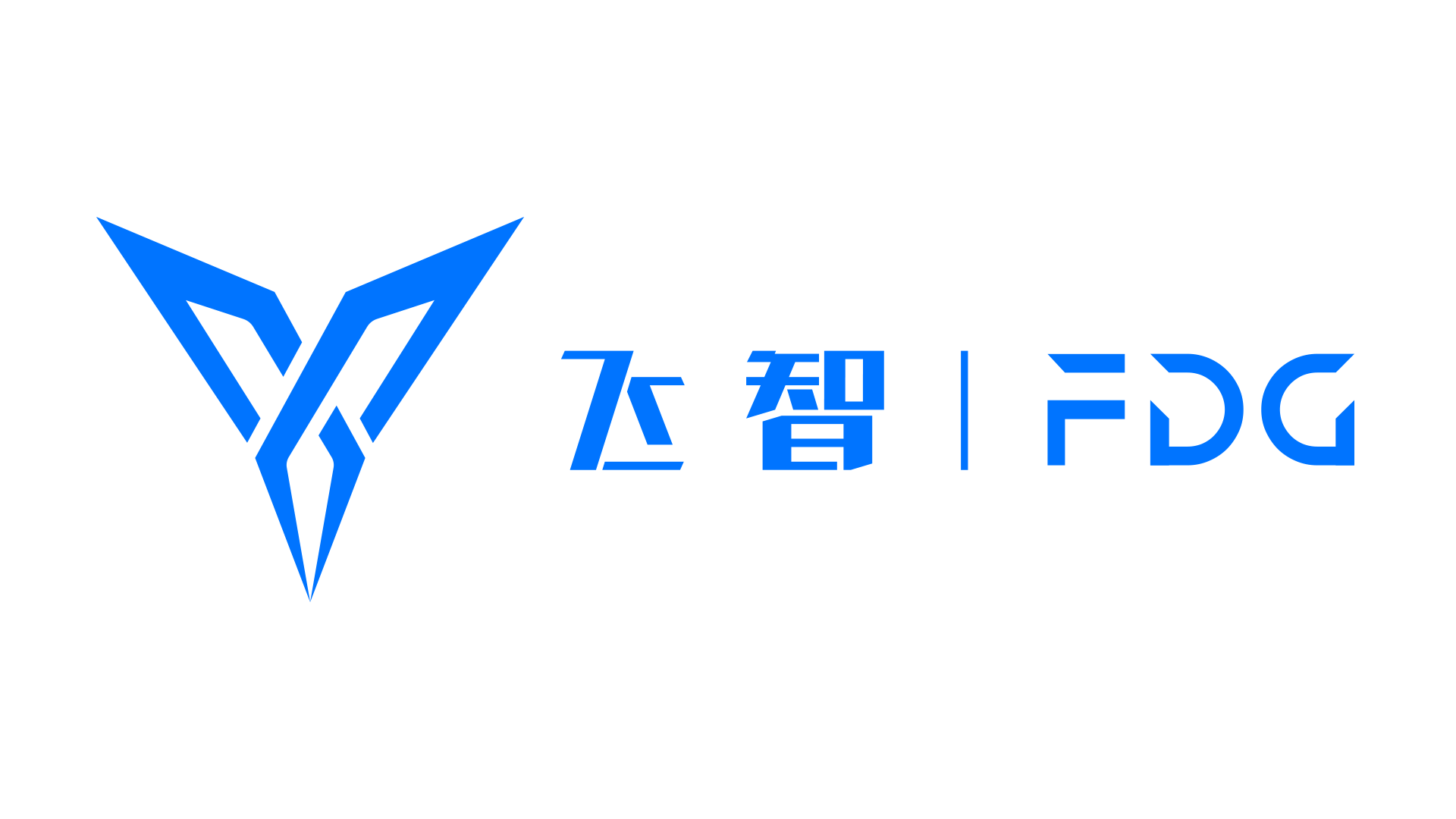 上海飛智電子科技有限公司