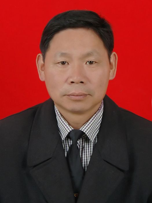 雷金榮(浙江省麗水市蓮都區老竹鎮人大副主席、一級主任科員) 雷金榮(浙江省麗水市蓮都區老竹鎮人大副主席、一級主任科員)
