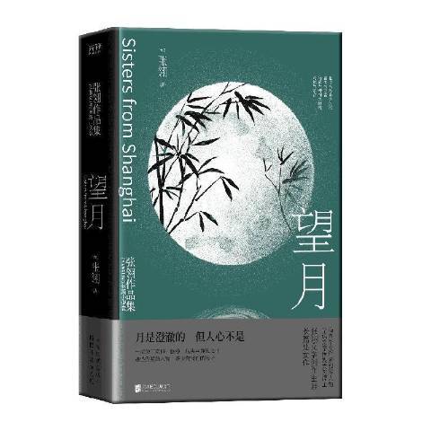 望月(2021年北京聯合出版公司出版的圖書) 望月(2021年北京聯合出版公司出版的圖書)