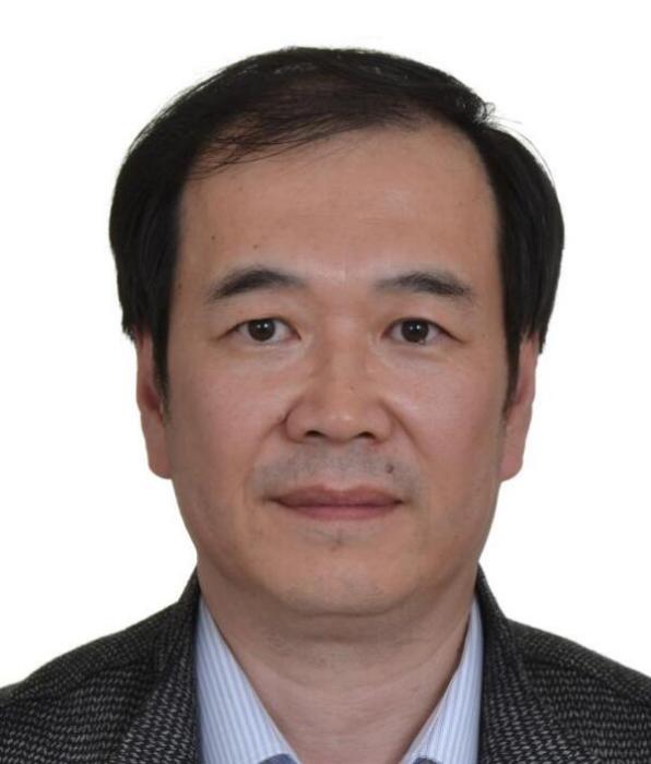 洪雷(大連理工大學副教授) 洪雷(大連理工大學副教授)