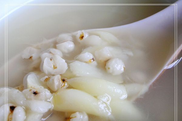 知母犀角湯 知母犀角湯