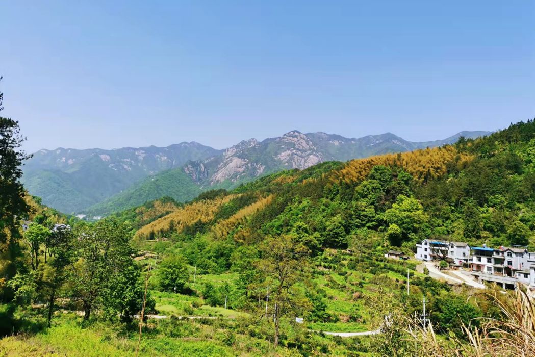 吊橋河村 吊橋河村