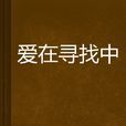 愛在尋找中