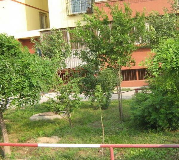 公安局宿舍 公安局宿舍